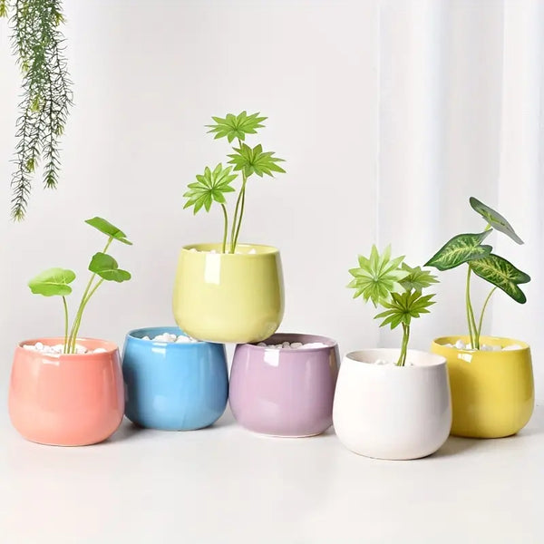 Classic Ceramic Macaron Plant Pots with Drainage Holes