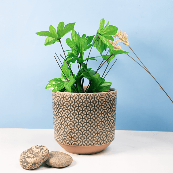 Grey Hive Ceramic Plant Pot