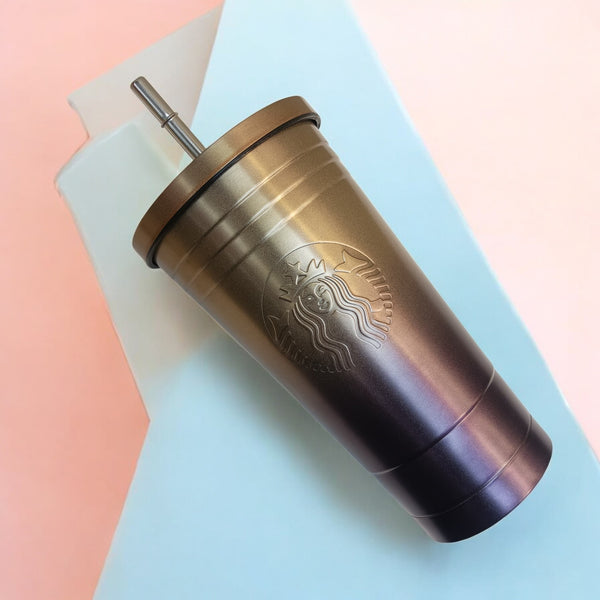 Gradient Stainless Steel Tumbler with Straw