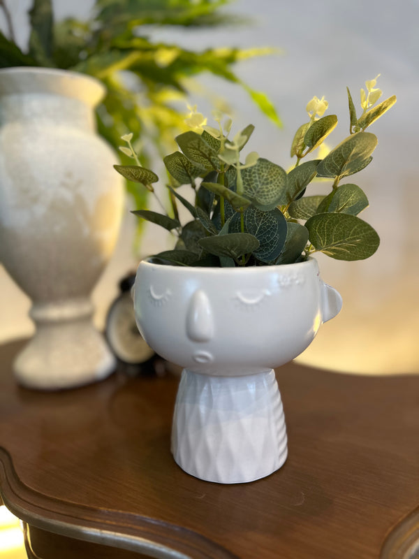 Charming Ceramic Plant Pots