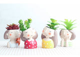 Wild Summer Succulent Plant Pots