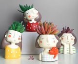 Wild Summer Succulent Plant Pots