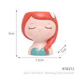 Princess Succulent Plant Pots