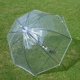 White Transparent Dome Umbrella