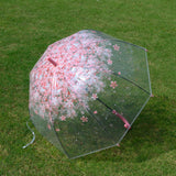 Flower Splash Dome Umbrella